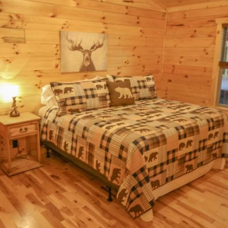 210 Cubs In The Treetops - Luxurious Cabin In Gatlinburg Kültér fotó